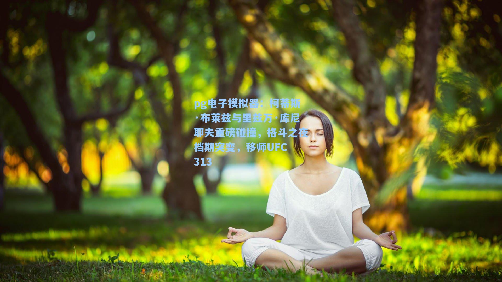 柯蒂斯·布莱兹与里兹万·库尼耶夫重磅碰撞，格斗之夜档期突变，移师UFC 313