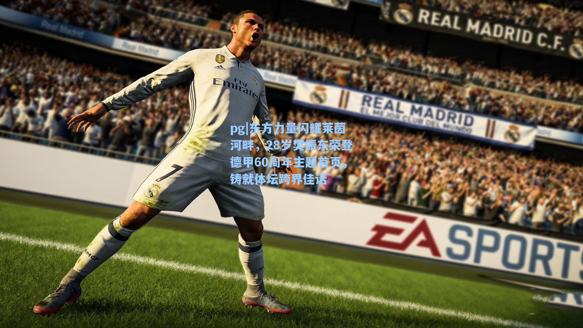 东方力量闪耀莱茵河畔，28岁樊振东荣登德甲60周年主题首页，铸就体坛跨界佳话